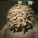 Whale Bones