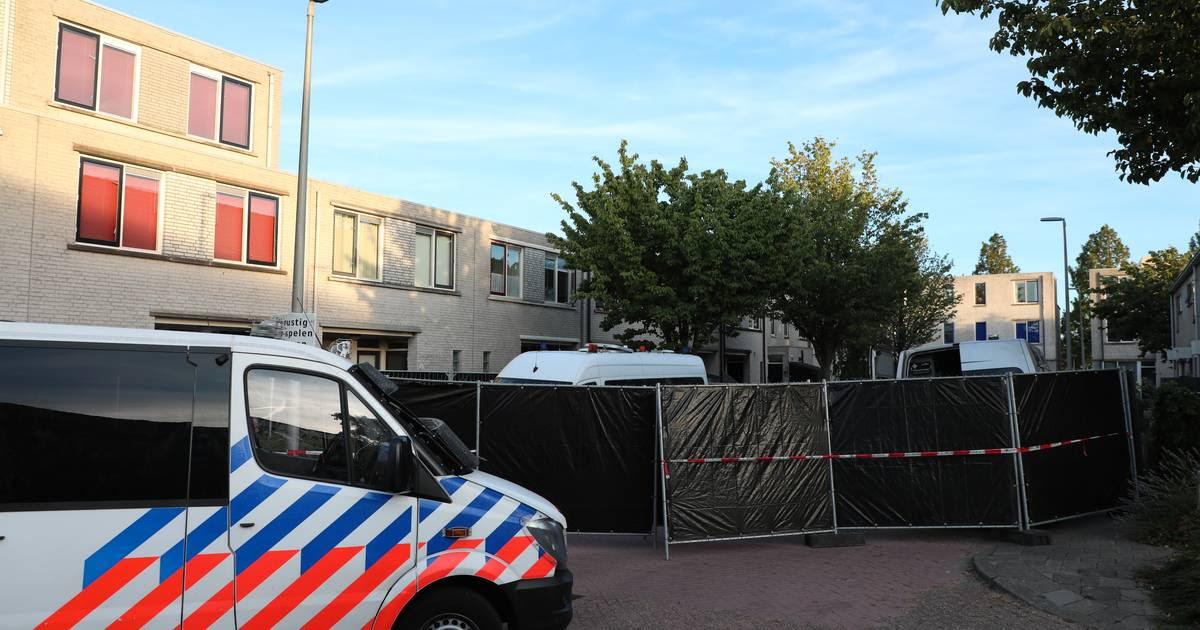 Groot onderzoek naar twee gevonden lichamen in Zoetermeer: 'Zag hem vanmorgen nog met zijn zoon'