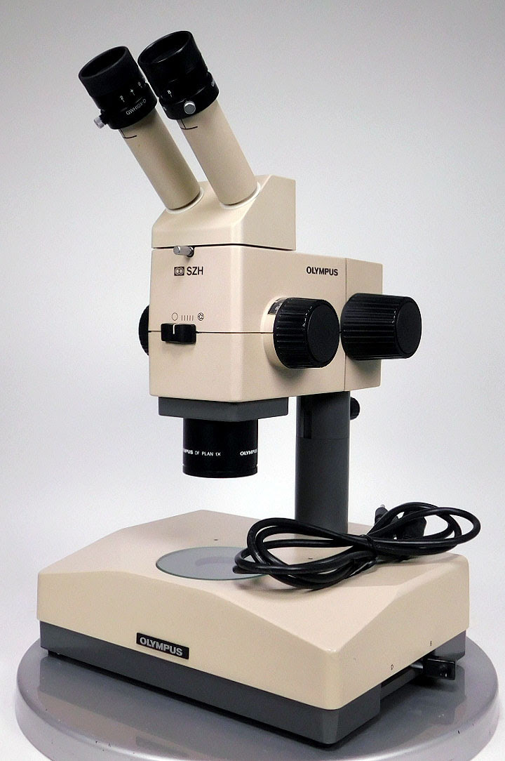 オリンパス 顕微鏡 アンティーク - カメラ