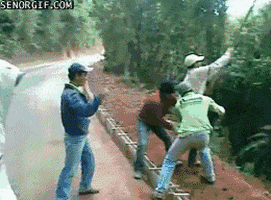 Fun Looks animated GIF