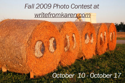 Photo Contest at writefromkaren.com