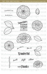 Camellia