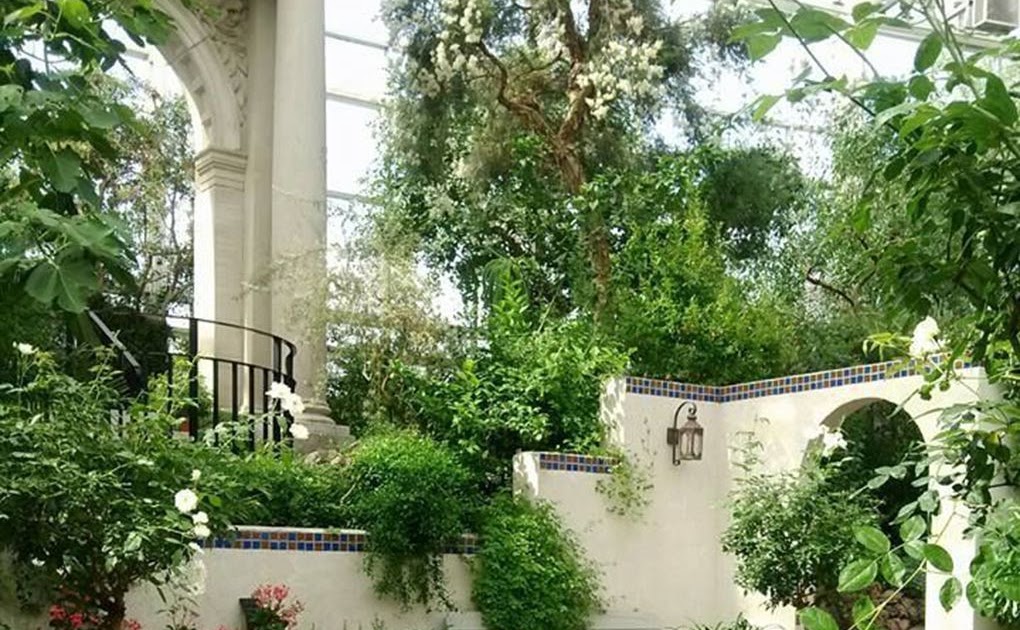 Small Mediterranean Garden Ideas Uk - Before and After: Mediterranean