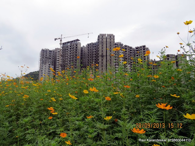 Sangria Towers, Megapolis, Hinjewadi Phase 3, Pune 411 057 on 28th & 29th September 2013