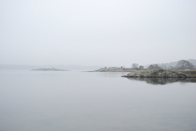 DSC_1329