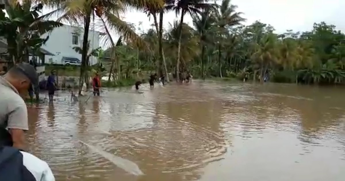 14 Mimpi banjir datang