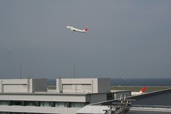 IMG_1222.JPG