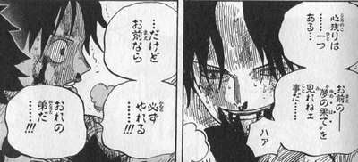 ワンピース エース 捕まっ た 理由