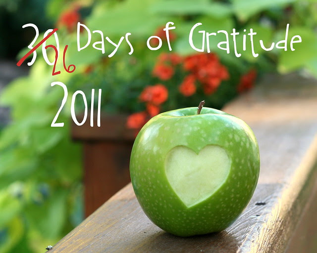 26 Days of Gratitude