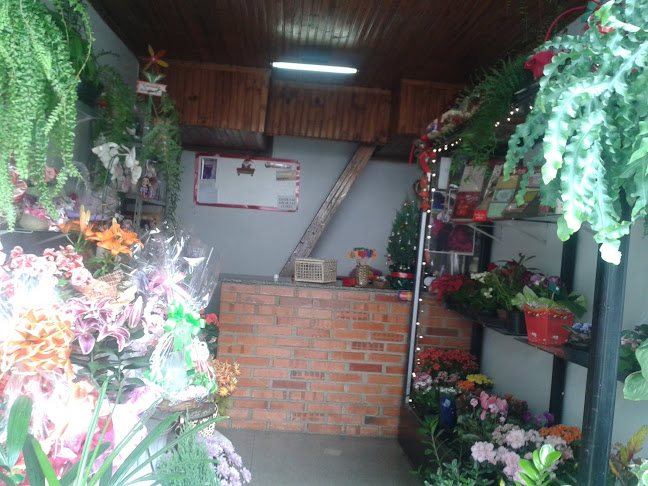 Cantinho das Flores - Belo Horizonte