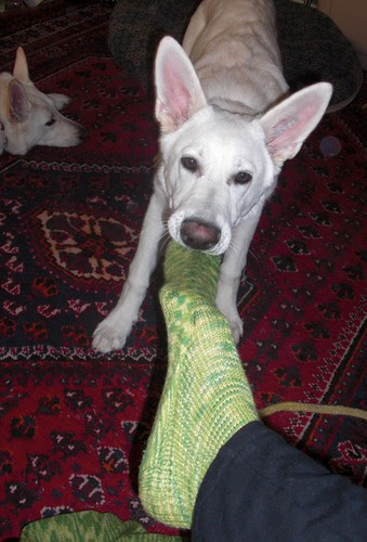 Happy Nov.28-taking off my socks-4