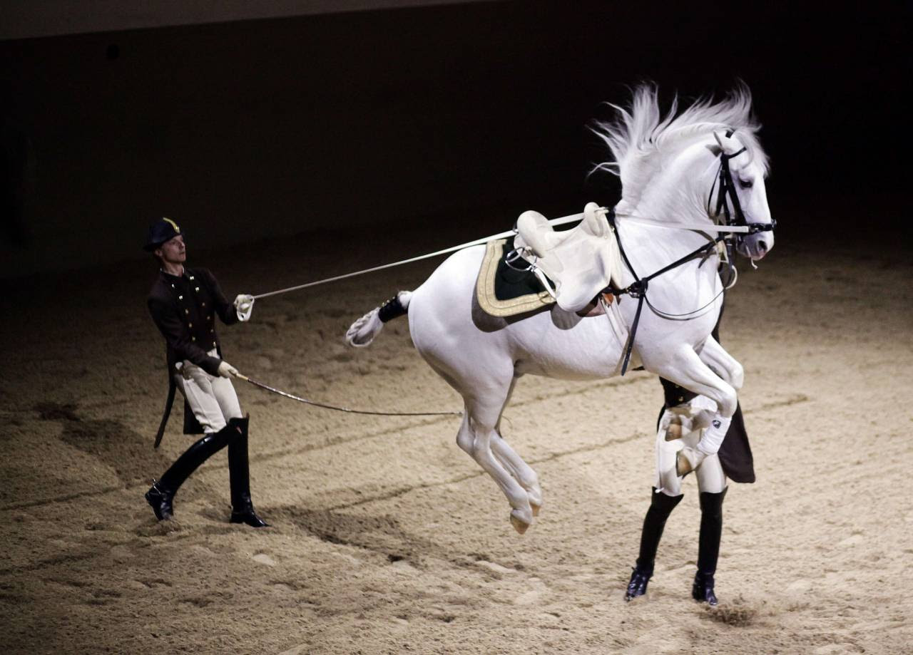 est100 一些攝影(some photos) Spanish Riding School 西班牙騎術學校