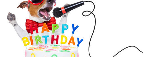 jack russell dog  as a surprise, singing birthday song  like karaoke with microphone ,behind funny cake,  wearing  red tie and party hat  , isolated on white background