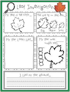 All About A Leaf Worksheet - BIXIN1303