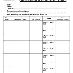 Exemple Bilan De Stage En Entreprise  Le Meilleur Exemple