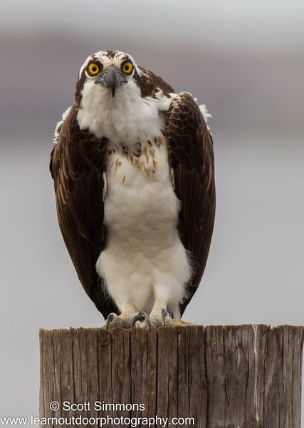 Photo & Video Sharing by SmugMug Photo & Video Sharing by SmugMug