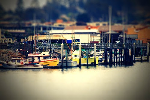 Boats