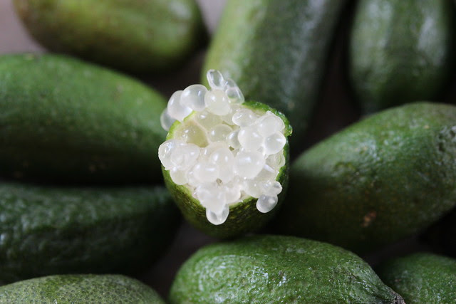 Finger Limes - Citrus Caviar - From Frieda's Produce