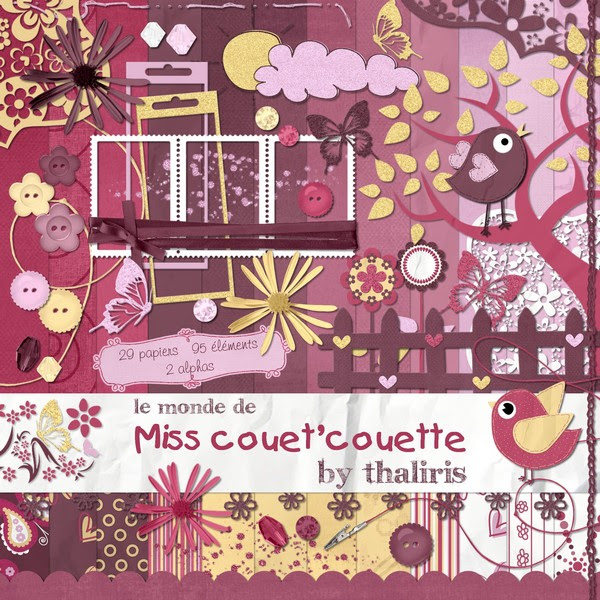 Image hébergée par servimg.com