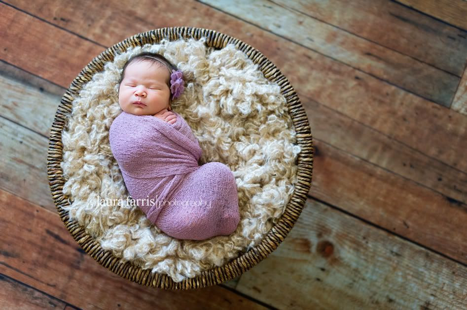newborn photography idaho