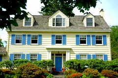 Yellow House Blue Shutters Home Design And Decor Reviews