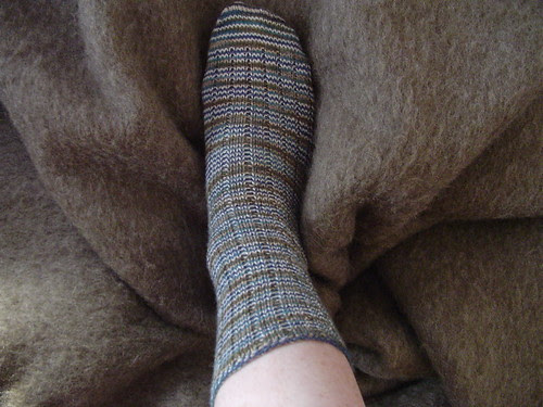 Lorna's Laces sock