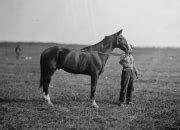 James Longstreet The Full Wiki James Longstreet The Full Wiki