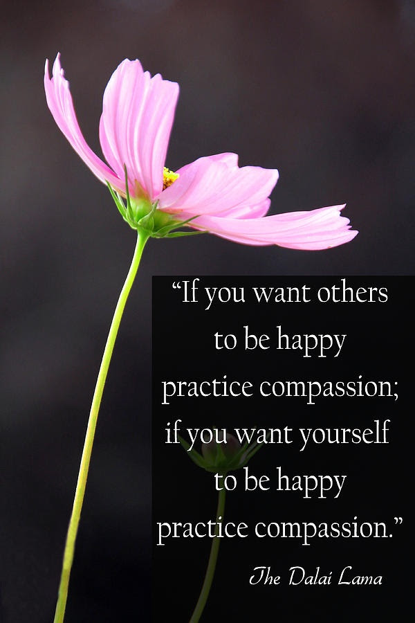 Quotes About Compassion Dalai Lama. QuotesGram Quotes About Compassion Dalai Lama. QuotesGram