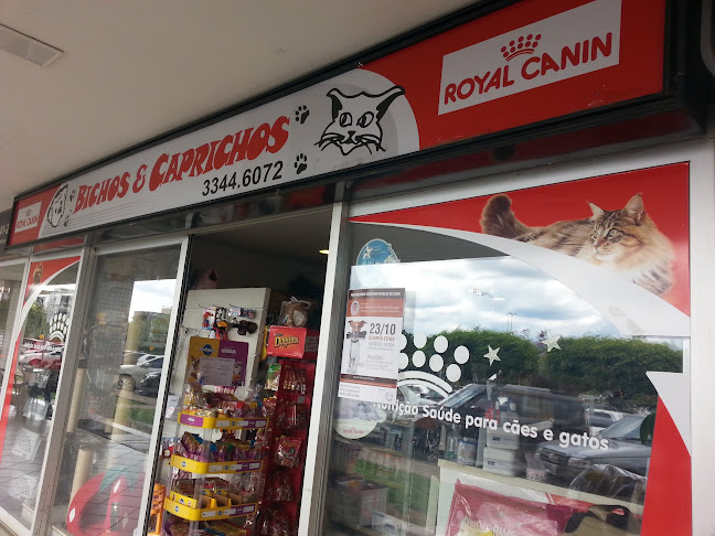 Bichos e Caprichos