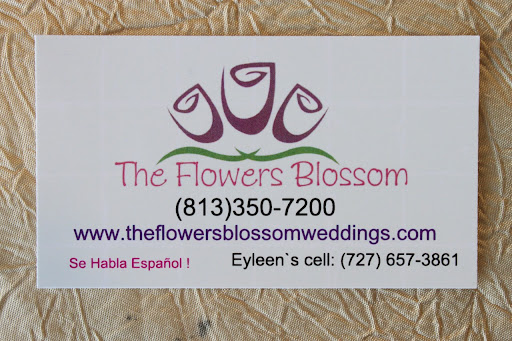 Party Equipment Rental Service «Blossom Events», reviews and photos, 9720 N 56th St, Temple Terrace, FL 33617, USA