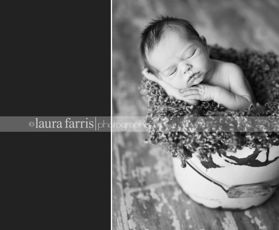 boise newborn photographer