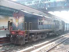 18596-2619
