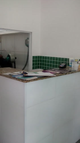 Veterinária Propato