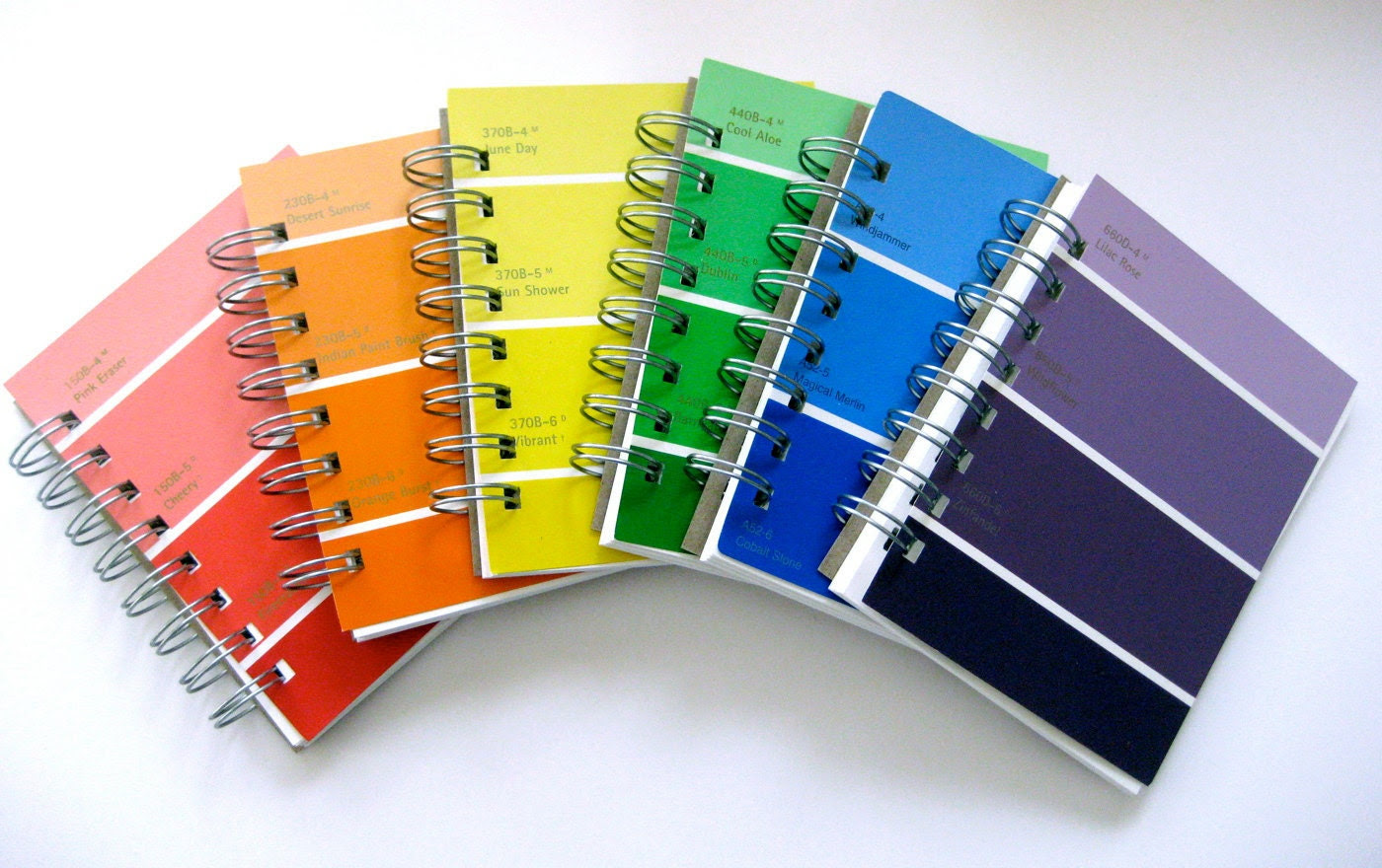 Choose Your Color Paint Sample Notebook