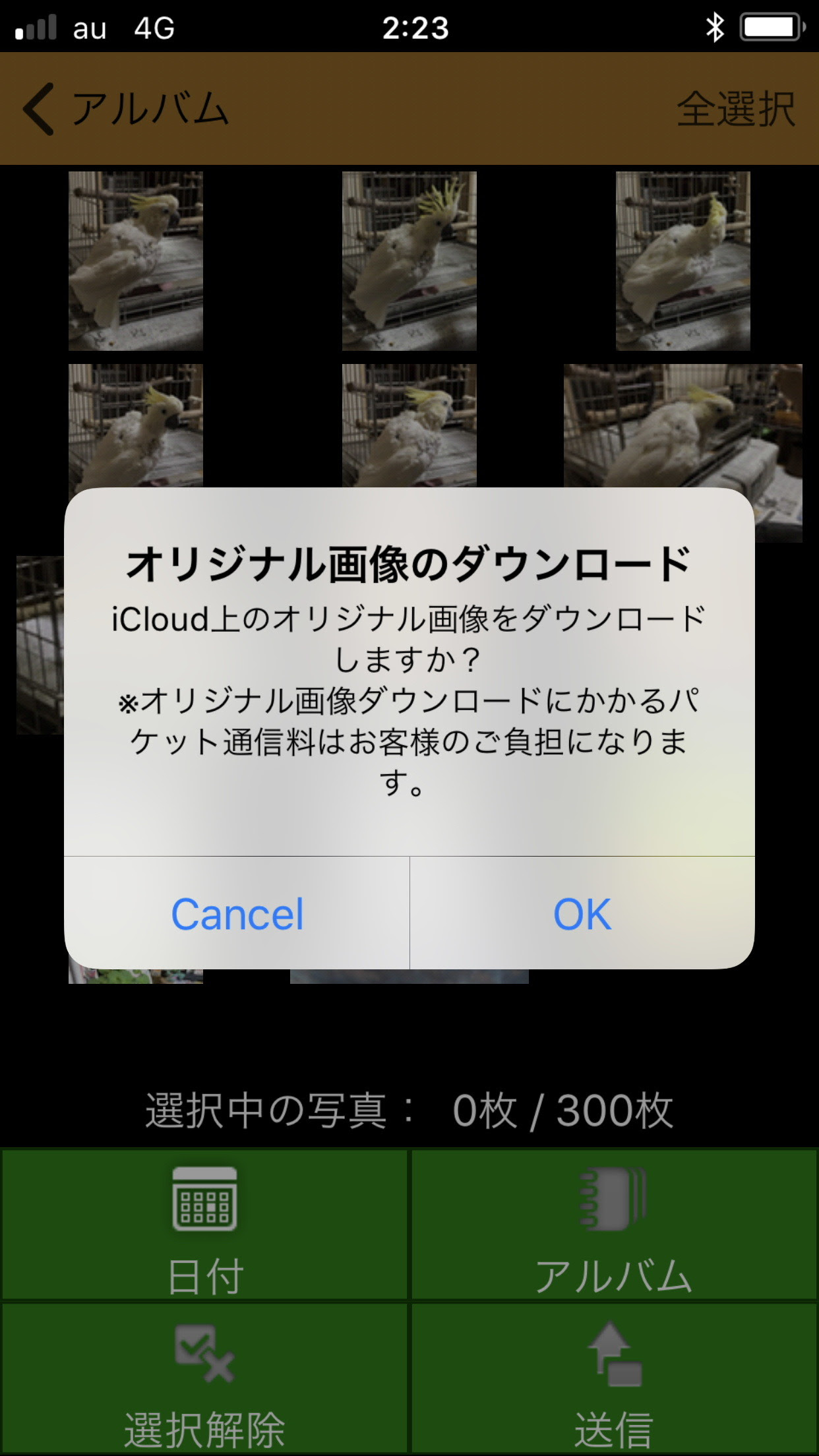 Icloud 写真 日付情報がない ダウンロード