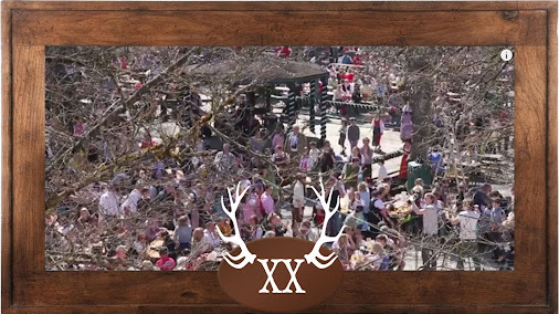 posted image