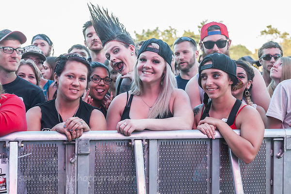 In the crowd