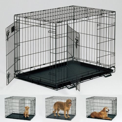 Crate Training At Night Pet's Gallery