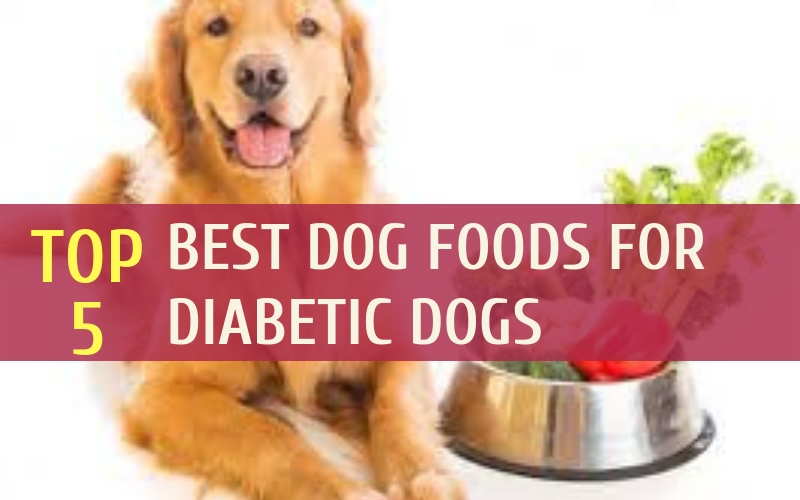 Diabetic Dog Food Recipies / 7 Best Raw Dog Food Recipes