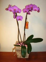 images (3)