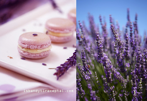 Macarons