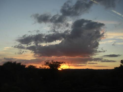 Cloud-bush3