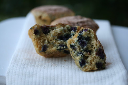 Blueberry Cornmeal Muffins - Williams Sonoma
