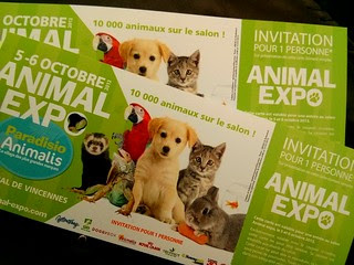 Animal Expo, Parc Floral de Paris, 6 septembre 2013