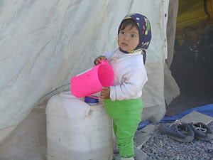 pink-bucket pink-bucket