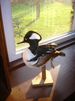 stuffed duck