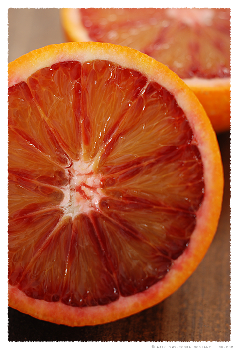 blood orange© by Haalo