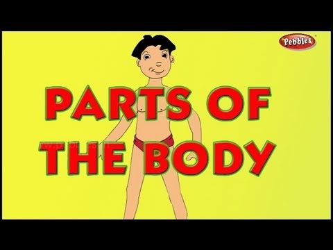 Body Parts Tamil / Learn about Human Body Parts in Hindi - Part 1