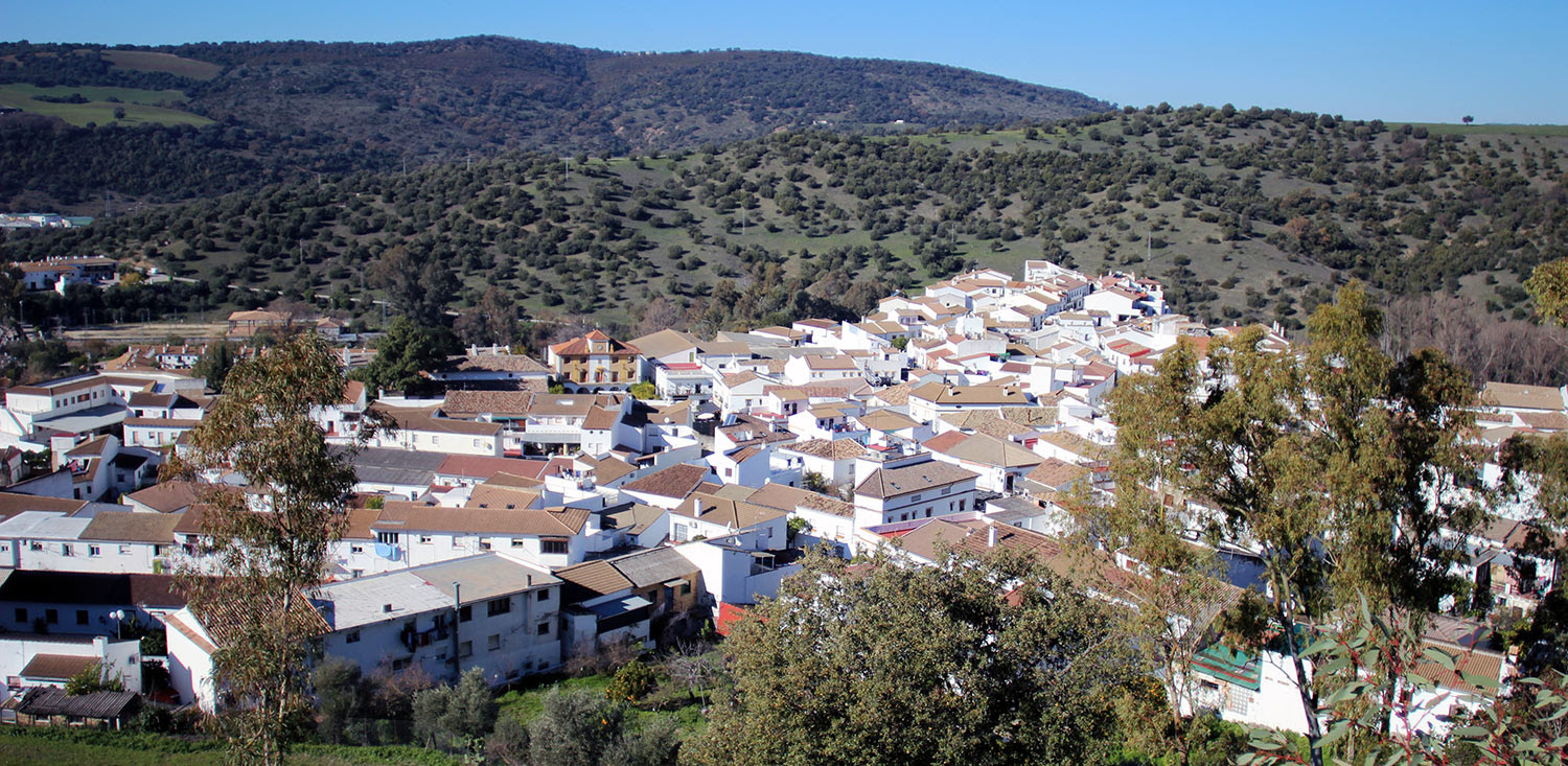 Resultado de imagen de el bosque cadiz