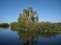 Free Image Hosting at www.ImageShack.us